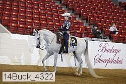 14buck_4322 proof