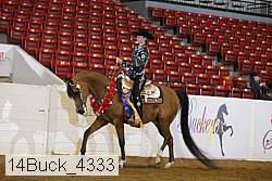 14buck_4333 proof