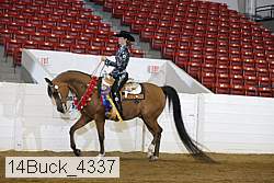 14buck_4337 proof