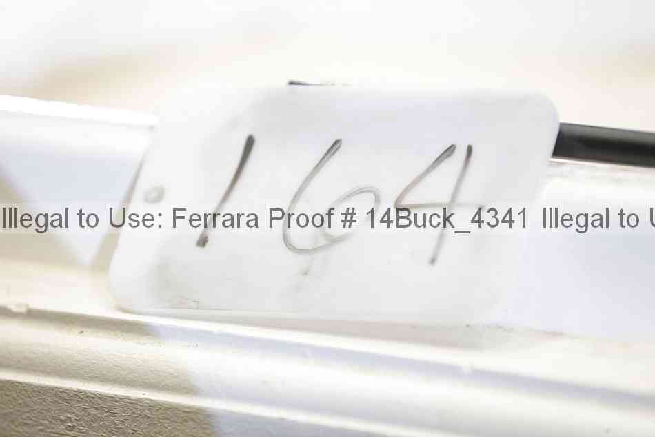Proof 14buck_4341
