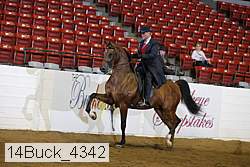 14buck_4342 proof