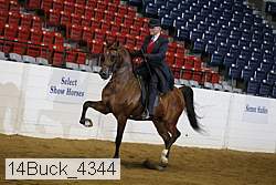 14buck_4344 proof