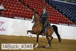 14buck_4346 proof
