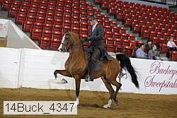 14buck_4347 proof