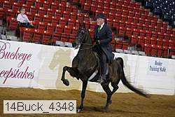 14buck_4348 proof