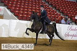14buck_4349 proof