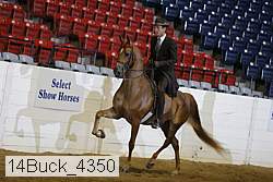 14buck_4350 proof