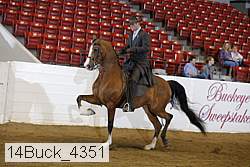 14buck_4351 proof