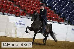 14buck_4352 proof