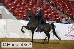 14buck_4353 proof