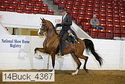 14buck_4367 proof