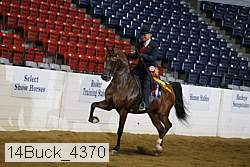 14buck_4370 proof