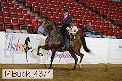 14buck_4371 proof