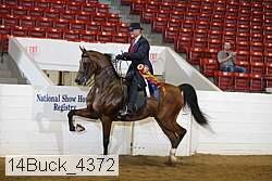 14buck_4372 proof