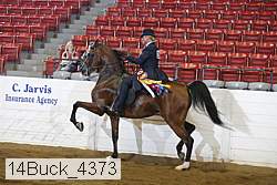14buck_4373 proof