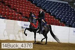 14buck_4376 proof