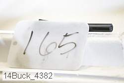 14buck_4382 proof