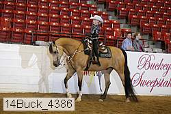 14buck_4386 proof