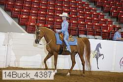 14buck_4387 proof