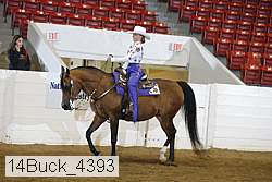 14buck_4393 proof