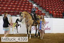 14buck_4399 proof