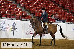 14buck_4408 proof