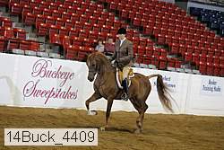 14buck_4409 proof