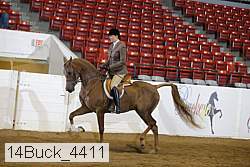14buck_4411 proof