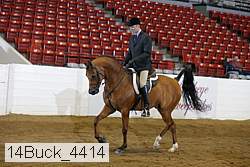 14buck_4414 proof