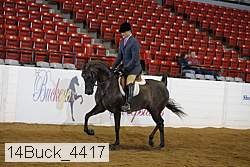 14buck_4417 proof