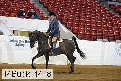 14buck_4418 proof