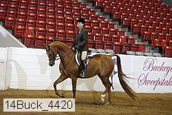 14buck_4420 proof