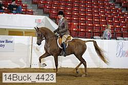 14buck_4423 proof
