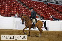14buck_4426 proof