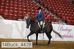14buck_4428 proof