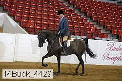 14buck_4429 proof