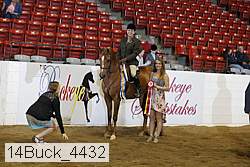 14buck_4432 proof