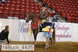 14buck_4435 proof