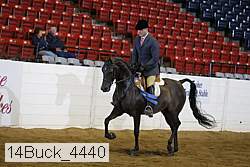 14buck_4440 proof