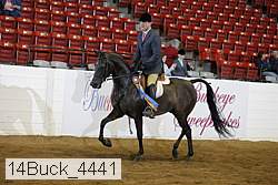 14buck_4441 proof
