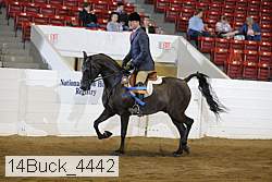 14buck_4442 proof