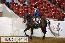 14buck_4444 proof