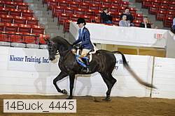 14buck_4445 proof