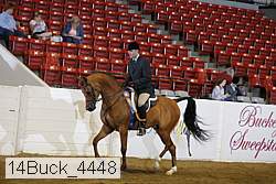 14buck_4448 proof