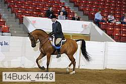 14buck_4449 proof