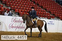 14buck_4451 proof