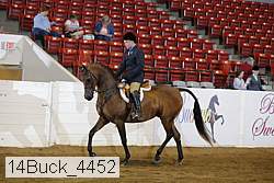 14buck_4452 proof