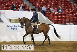 14buck_4453 proof