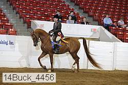 14buck_4456 proof