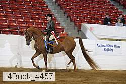 14buck_4457 proof